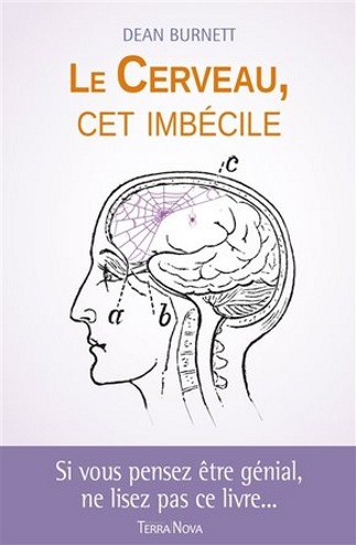 cerveau.jpg